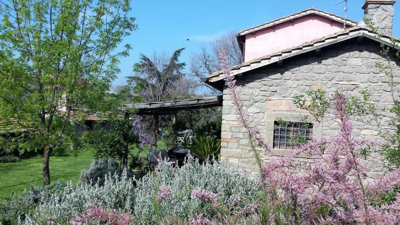 Il Casale Alle Farine Viterbo Luaran gambar